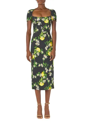 Corseted Short Sleeve Dress