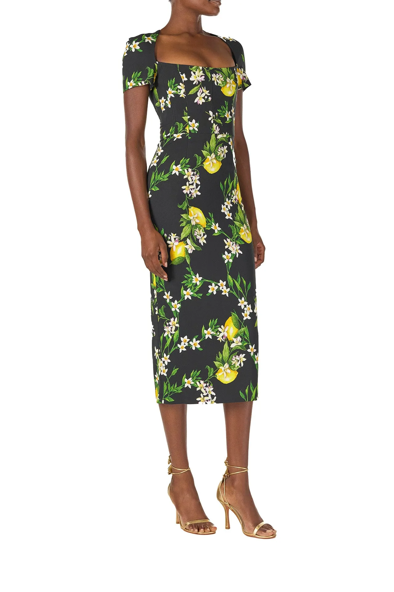 Corseted Short Sleeve Dress