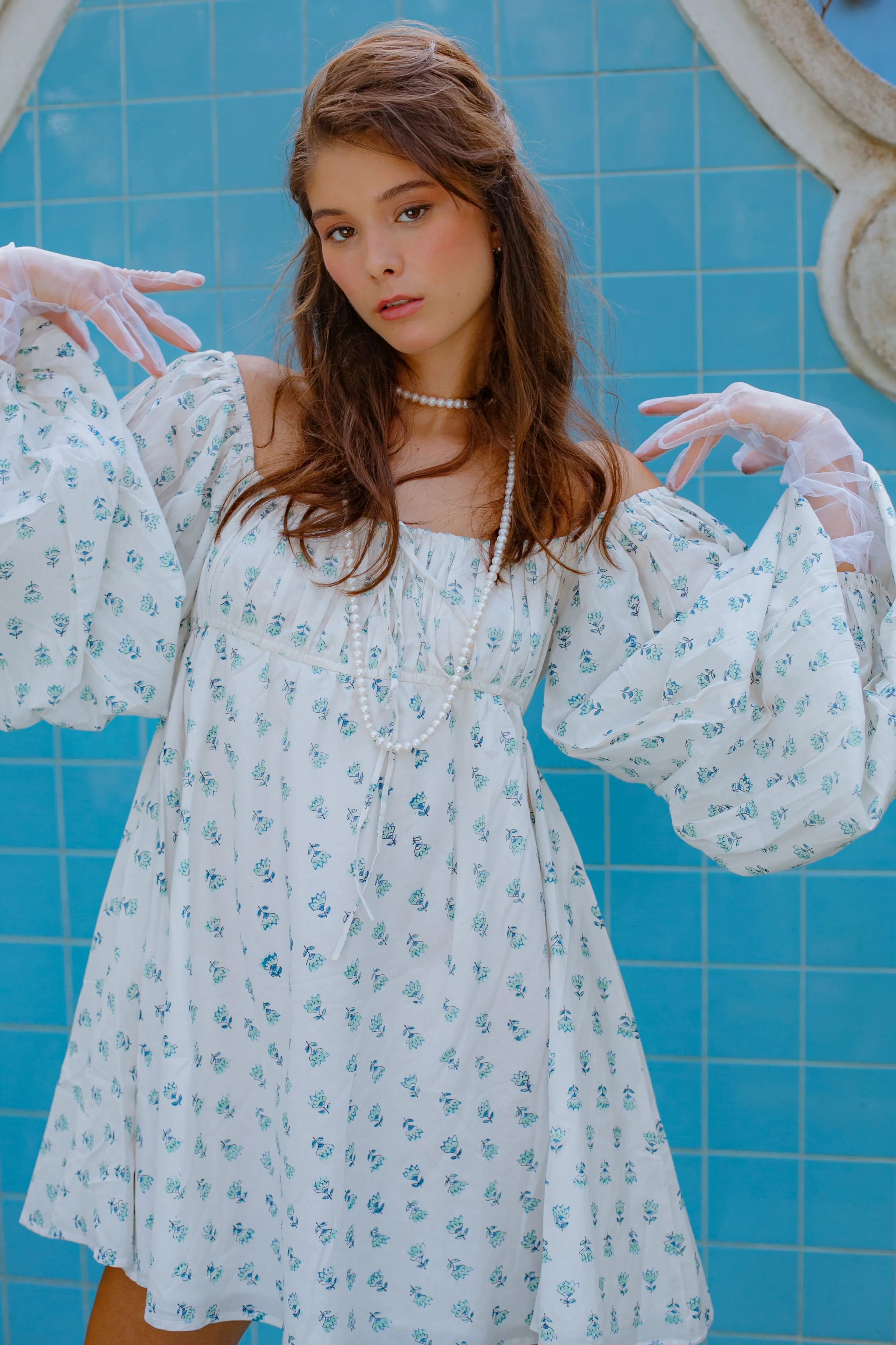 Daphne
