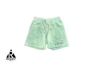 Embroidered Track Shorts "Mint"
