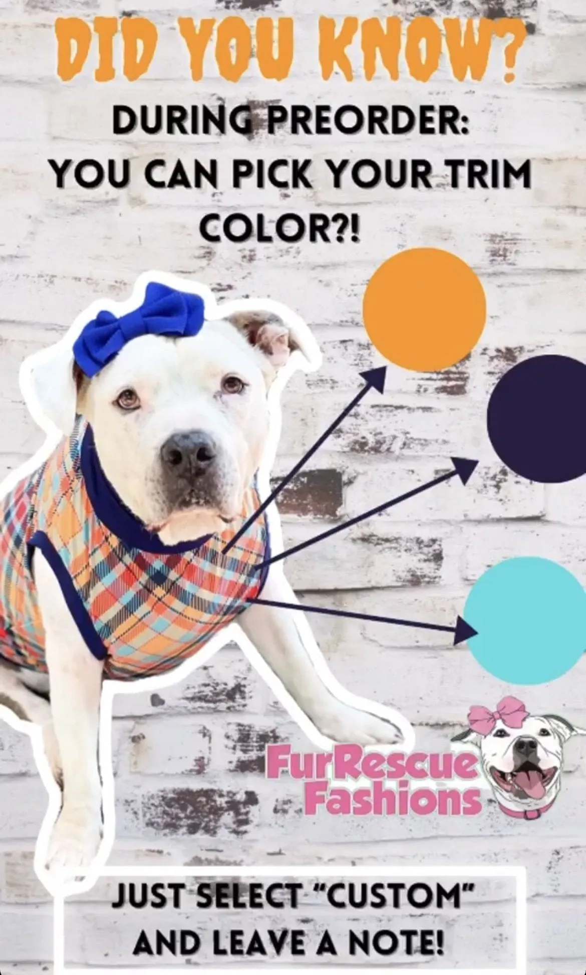 Hippo Love Dog Shirt With Tulle Accent