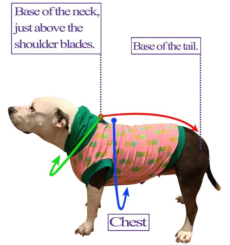 Hippo Love Dog Shirt With Tulle Accent