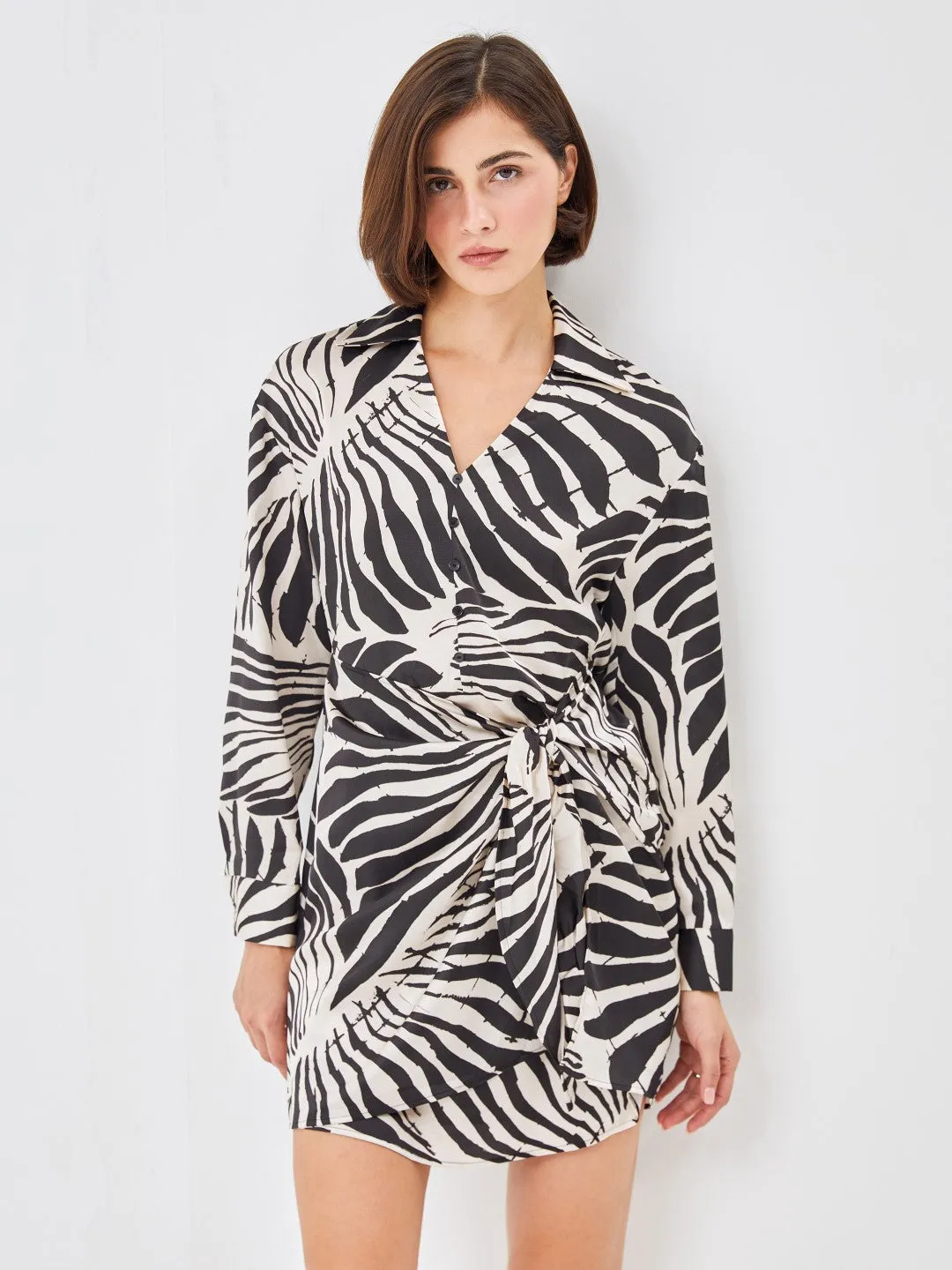 LCW Vision

Black Printed Shirt Collar Patterned Women's Dress