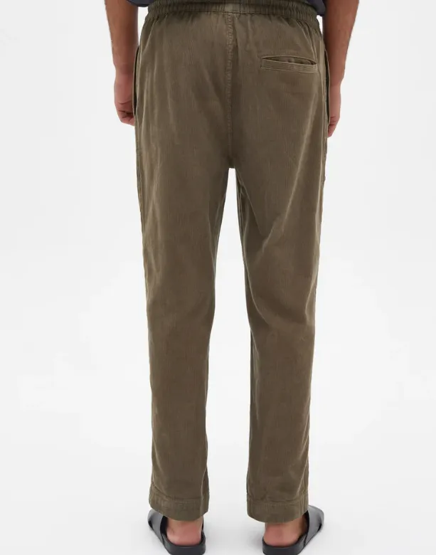 Mens Elijah Cord Pant Olive