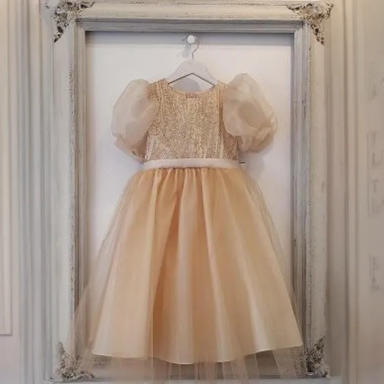 Valencia Dress - Blush