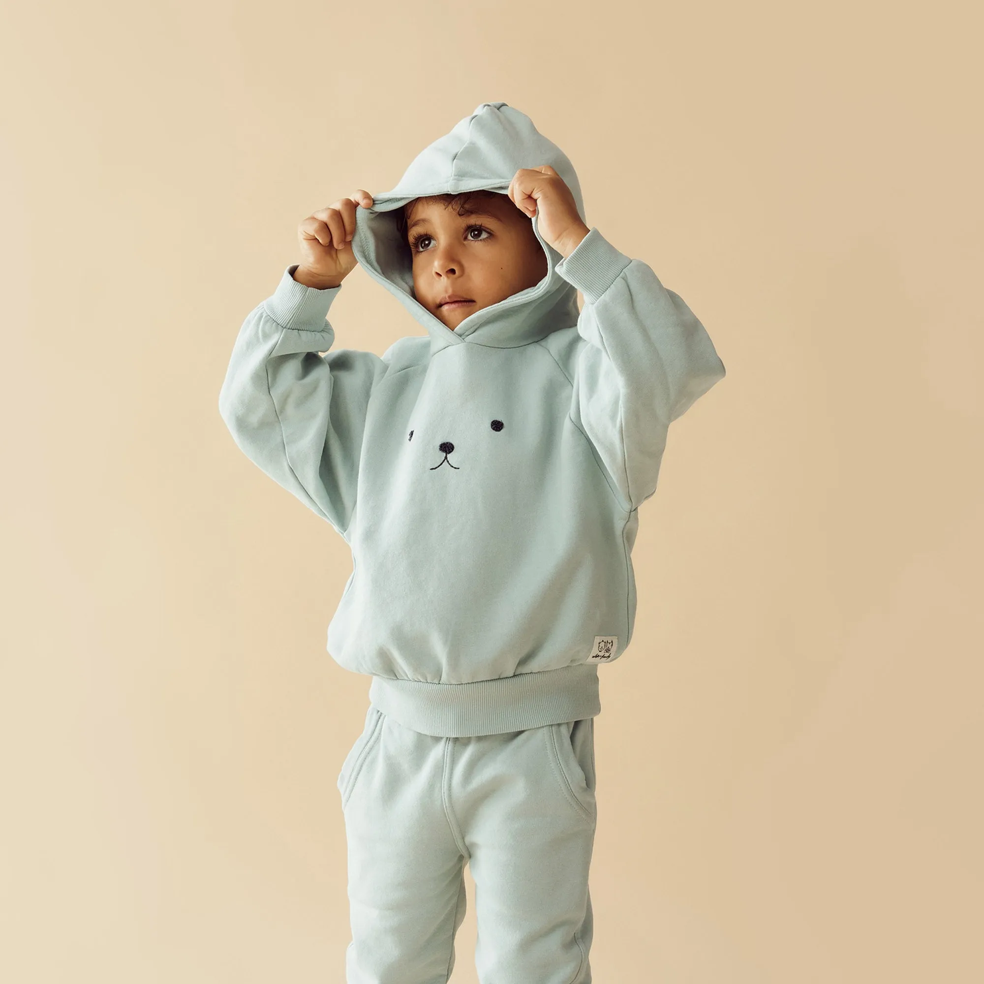 Wilson & Frenchy | Sage Organic Terry Hooded Sweat